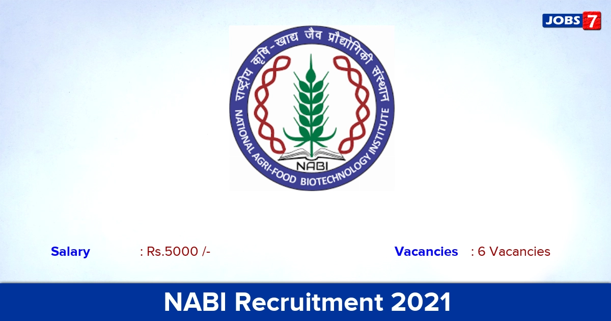 NABI Recruitment 2021 - Direct Interview for Student Internship Jobs