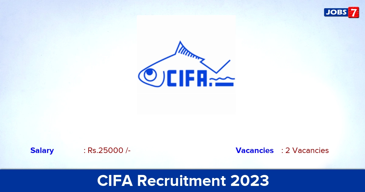 CIFA Recruitment 2023 - Apply Offline for Young Professional Jobs