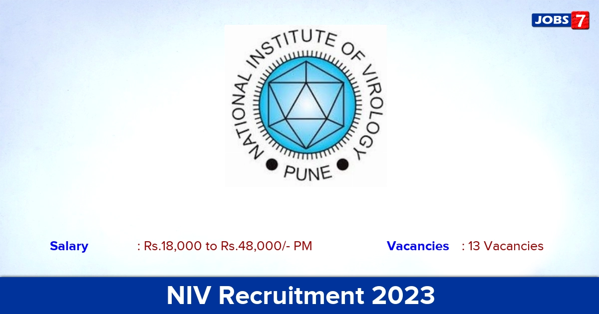 NIV Recruitment 2023 - Direct Interview for 13 Project Technical Support Jobs