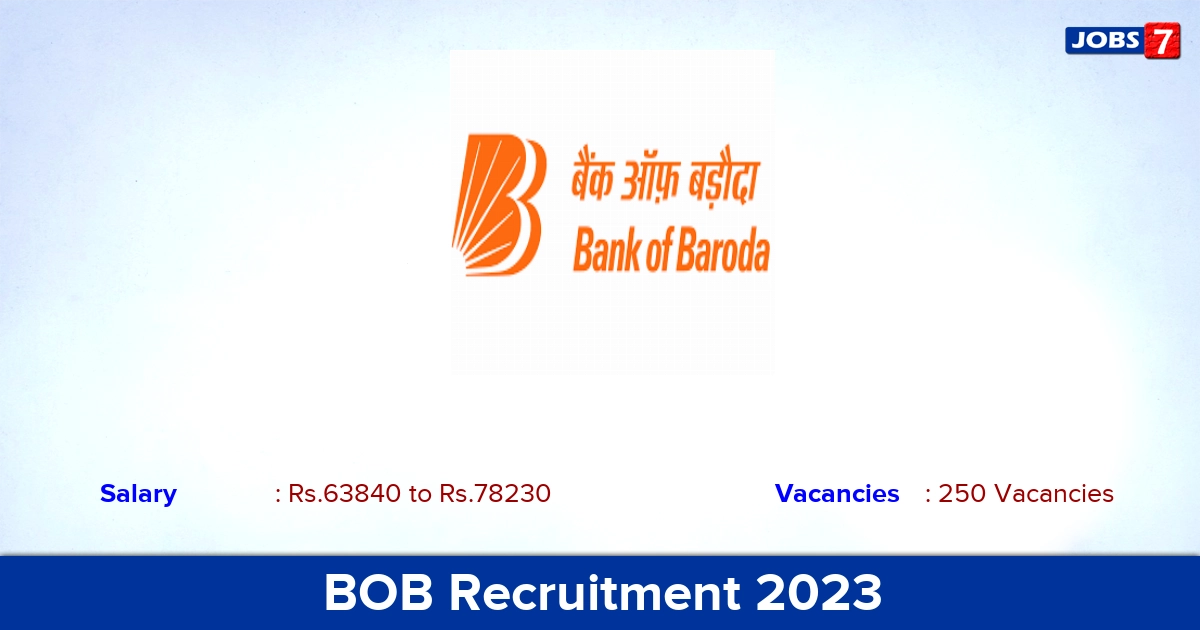 BOB Recruitment 2023 - Apply Online for 250 Senior Manager Vacancies