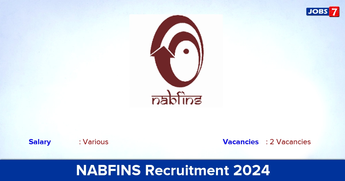 NABFINS Recruitment 2024 - Apply Online for Risk Officer Jobs