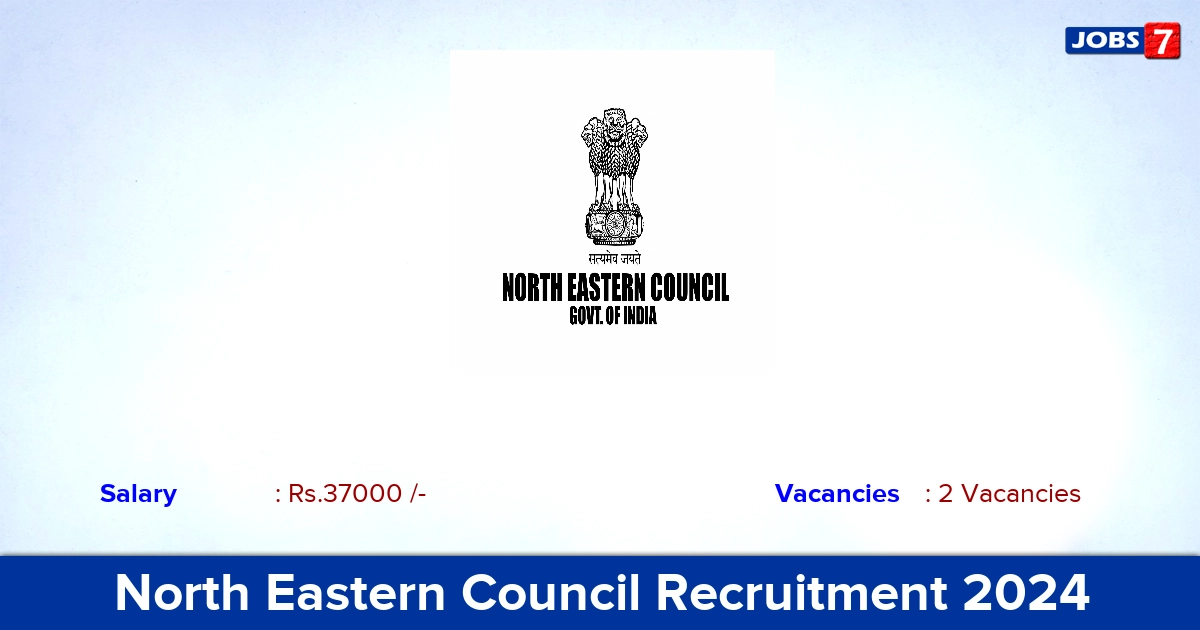 North Eastern Council Recruitment 2024 - Apply for Junior Consultant Jobs