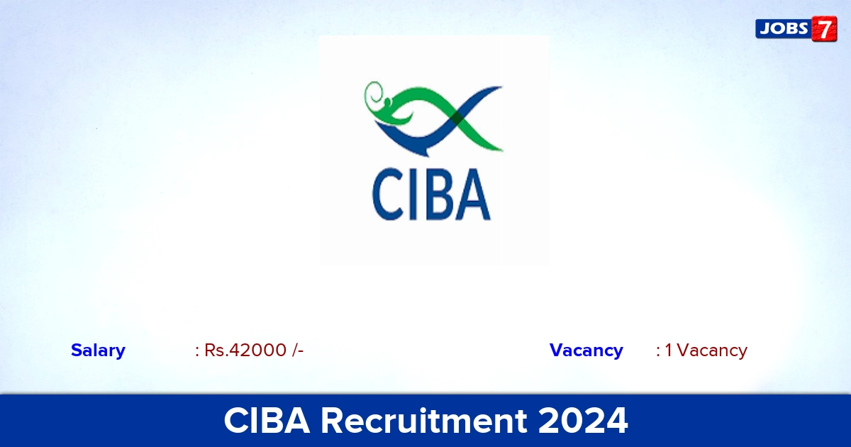 CIBA Recruitment 2024 - Apply Online for YP Jobs