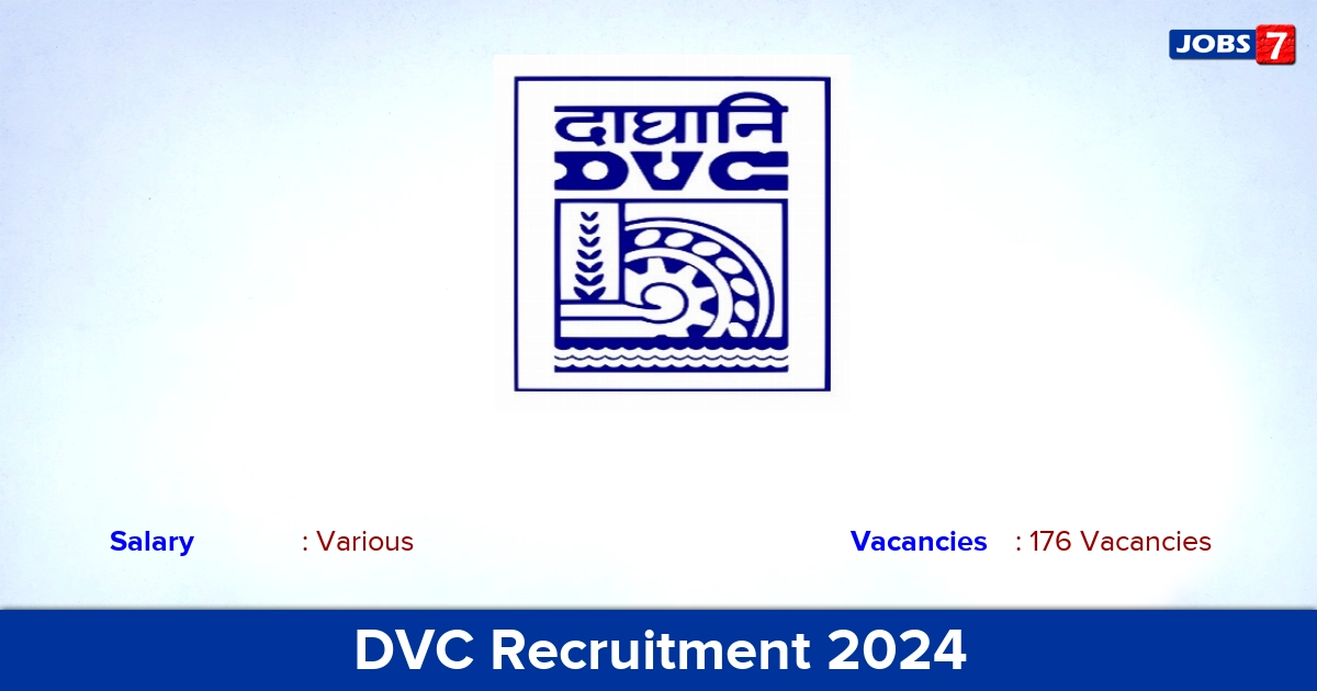 DVC Recruitment 2024 - Apply Online for 176 Executive Vacancies
