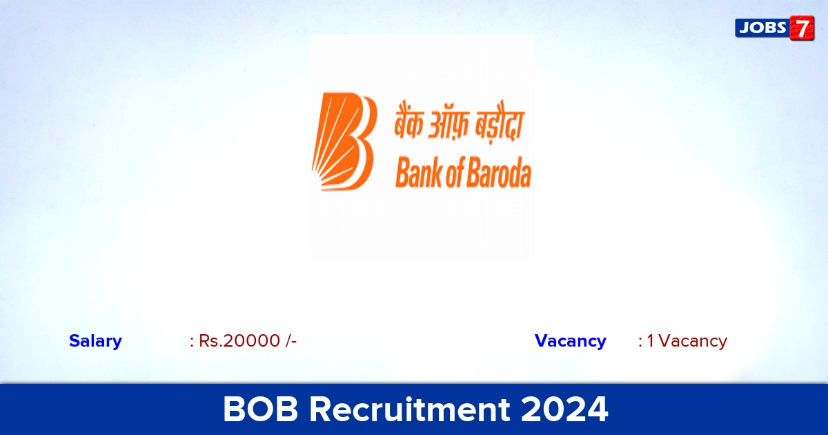 BOB Recruitment 2024 - Apply Offline for Office Assistant  Jobs