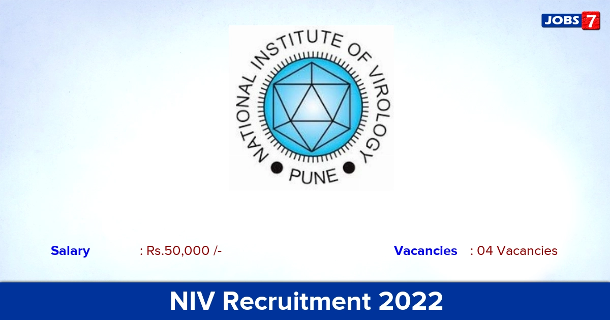 NIV Project Engineer Recruitment 2023 - No Application Fee! Offline Application