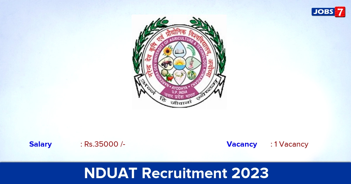 NDUAT Recruitment 2023 - Apply Offline for YP Jobs