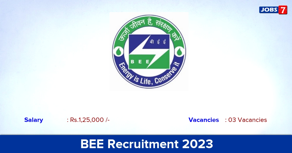 BEE Recruitment 2023 - Apply  Consultant Jobs, Offline Apllication!