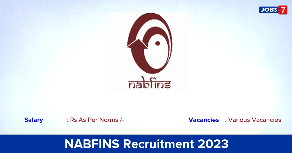NABFINS Recruitment 2023 - Customer Service Executive, Click Here!
