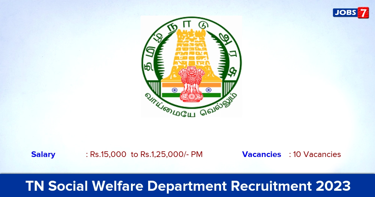 TN Social Welfare Department Recruitment 2023 - Apply Senior Consultant Jobs!