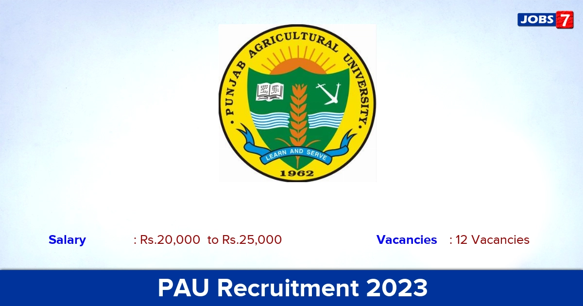 PAU Recruitment 2023 - Assistant Accounts Officer Jobs, Apply Through E-Mail!