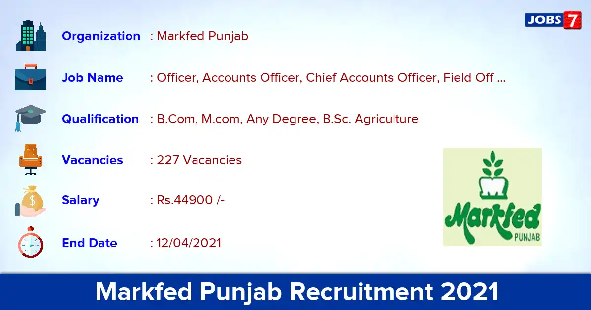 Markfed Punjab Recruitment 2021 - Apply Online for 227 Officer, Accounts Officer vacancies