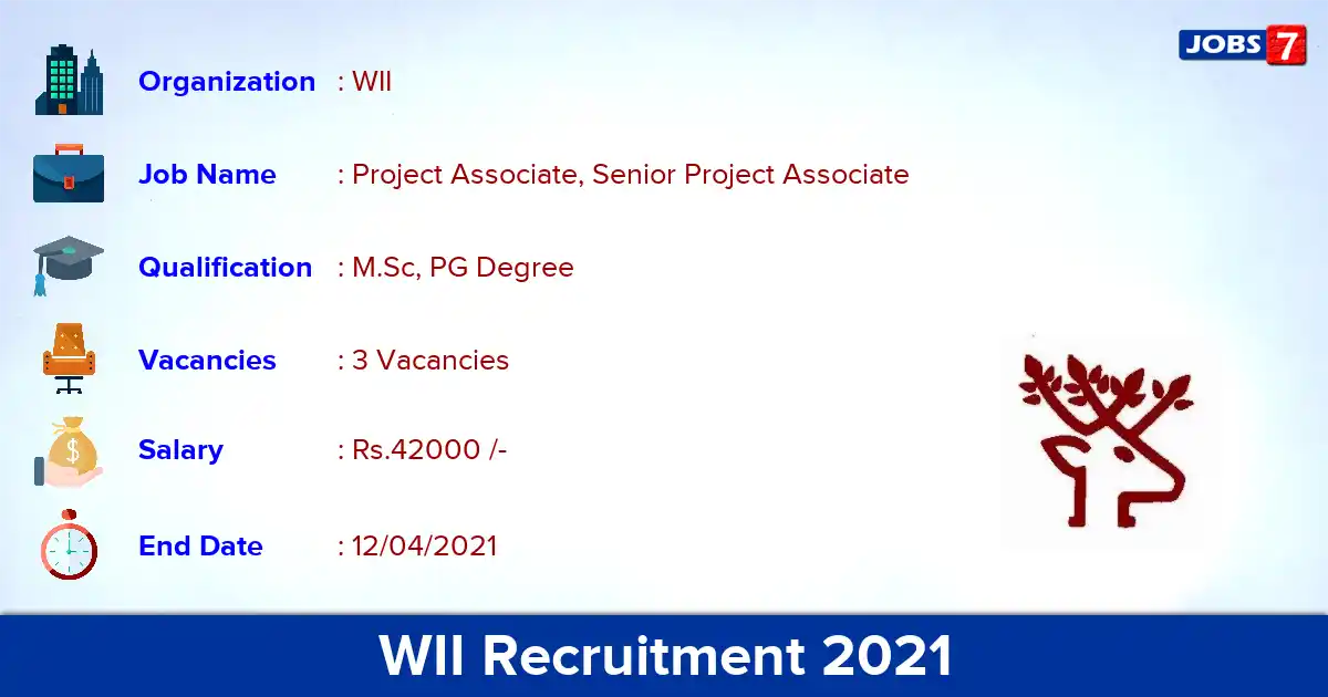 WII Recruitment 2021 - Apply Online for Senior Project Associate Jobs