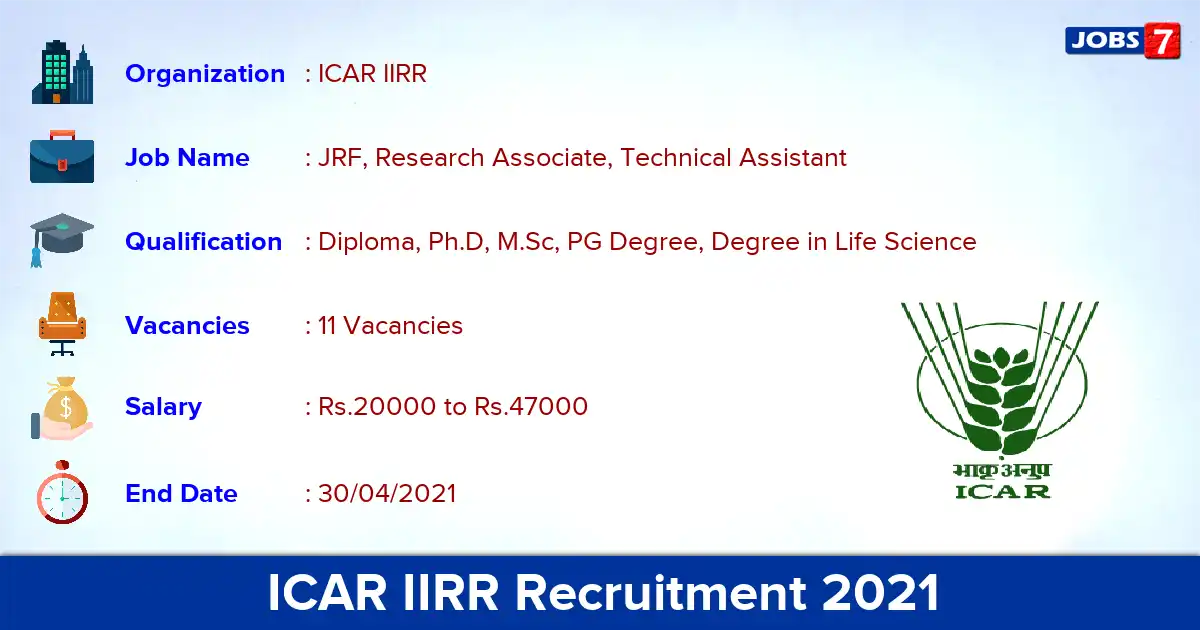 ICAR IIRR Recruitment 2021 - Apply Online for 11 JRF, Research Associate, Technical Assistant vacancies