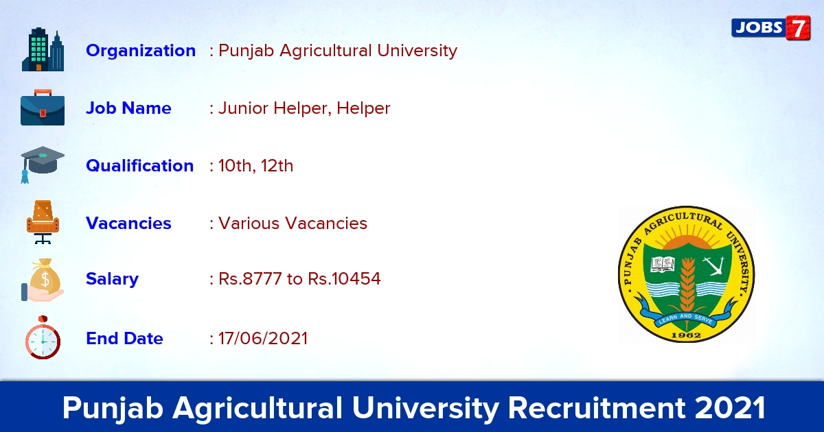 Punjab Agricultural University Recruitment 2021 - Apply Offline for Senior Field Helper Vacancies
