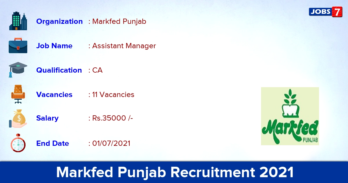 Markfed Punjab Recruitment 2021 - Apply Offline for 11 Assistant Manager Vacancies