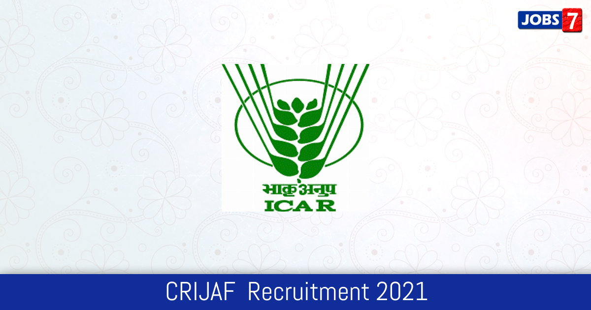 CRIJAF  Recruitment 2024:  Jobs in CRIJAF  | Apply @ www.crijaf.org.in
