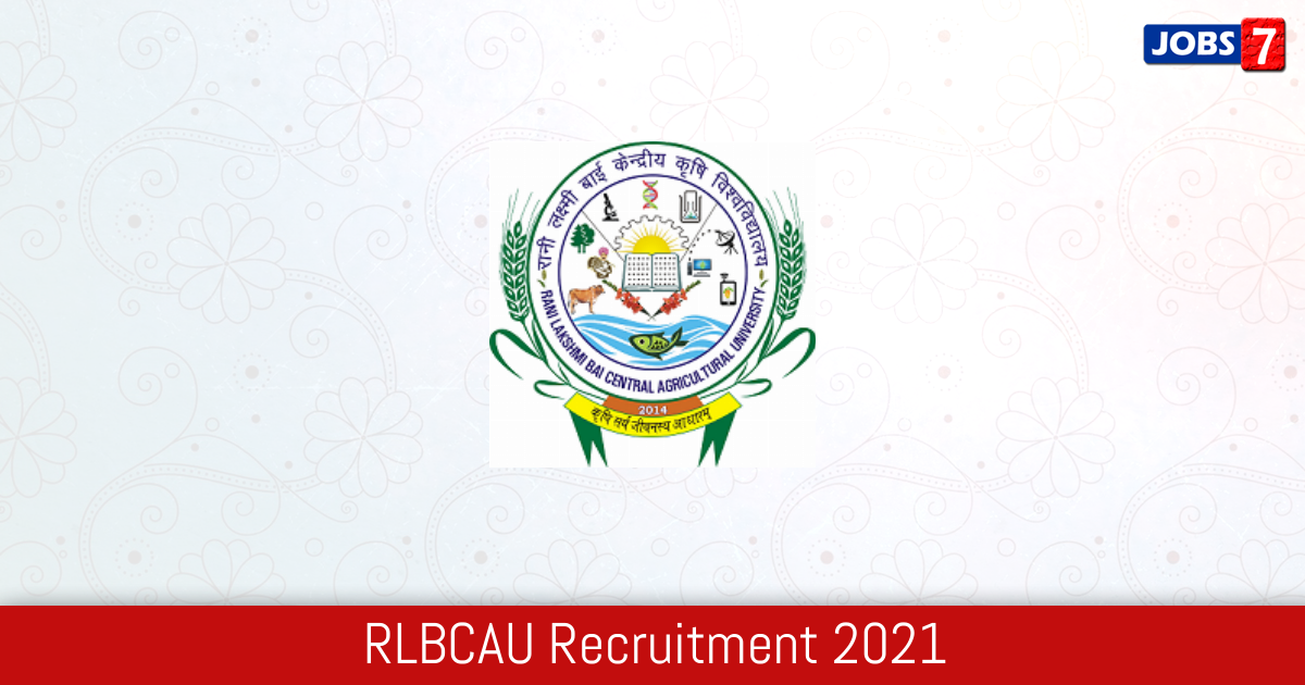 RLBCAU Recruitment 2024:  Jobs in RLBCAU | Apply @ www.rlbcau.ac.in