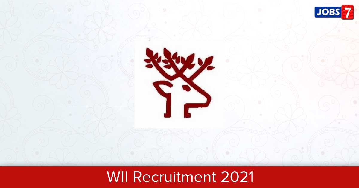 WII Recruitment 2024:  Jobs in WII | Apply @ wii.gov.in