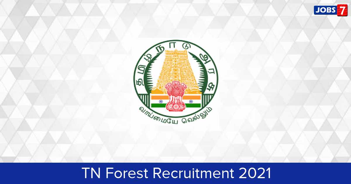 TN Forest Recruitment 2024:  Jobs in TN Forest | Apply @ www.forests.tn.gov.in