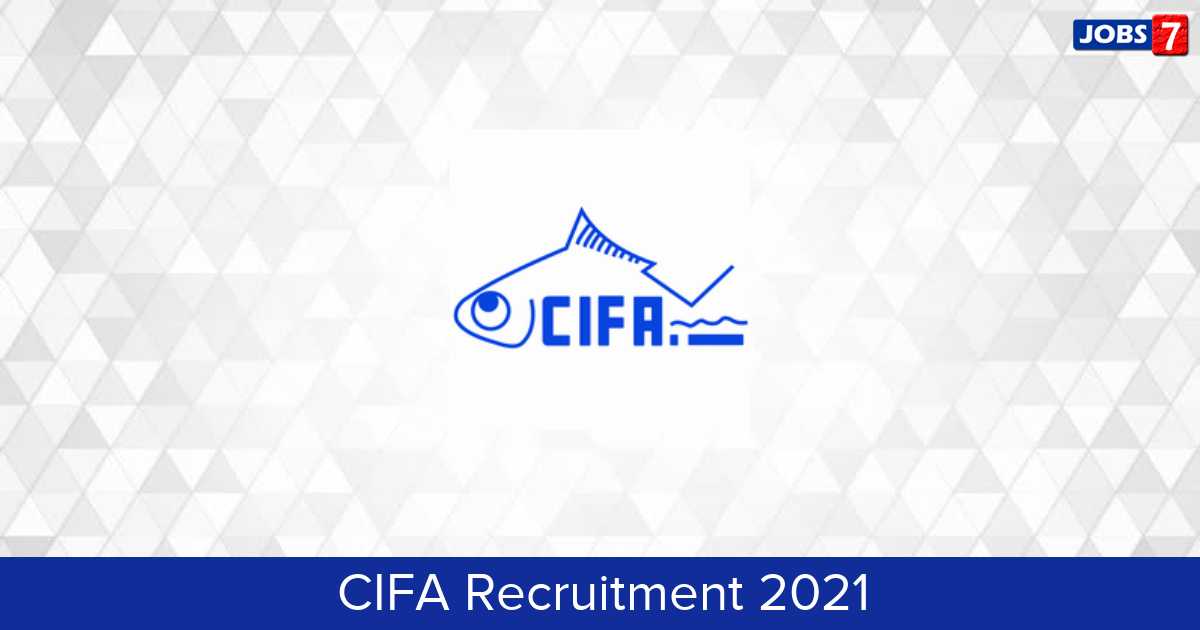 CIFA Recruitment 2024:  Jobs in CIFA | Apply @ cifa.nic.in