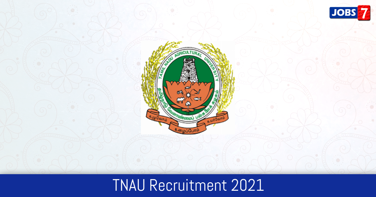 TNAU Recruitment 2024:  Jobs in TNAU | Apply @ tnau.ac.in