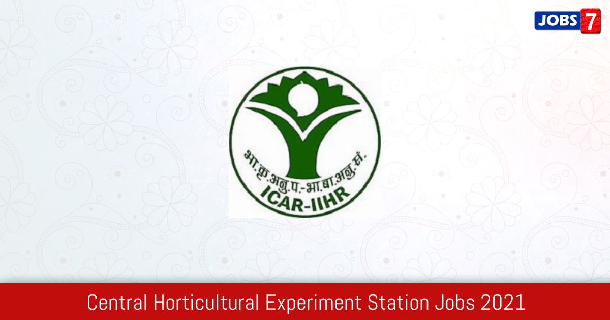 Central Horticultural Experiment Station Recruitment 2024:  Jobs in Central Horticultural Experiment Station | Apply @ www.iihr.res.in