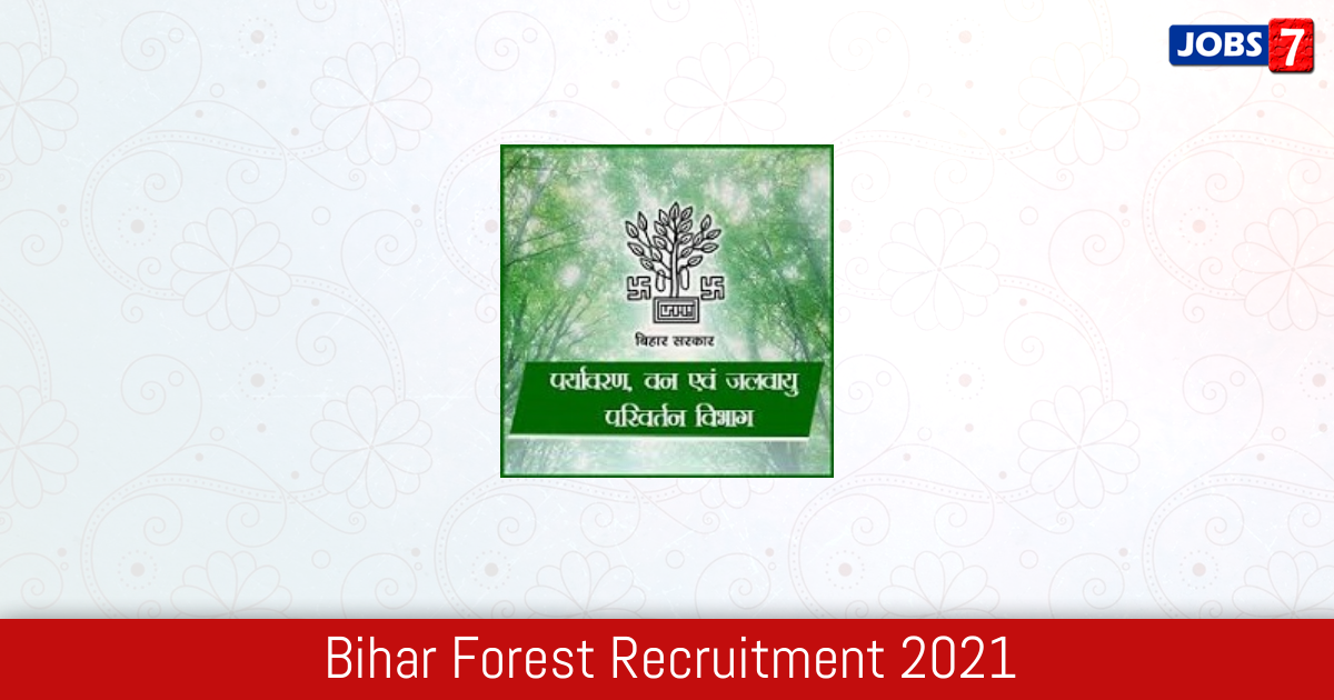 Bihar Forest Recruitment 2024:  Jobs in Bihar Forest | Apply @ forest.bih.nic.in