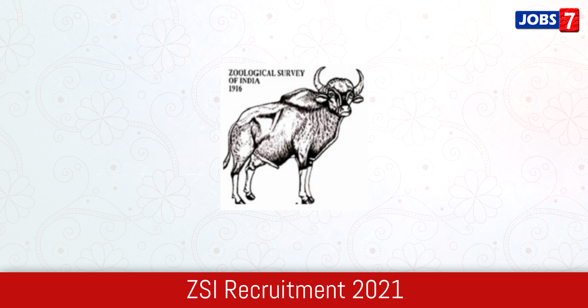 ZSI Recruitment 2024:  Jobs in ZSI | Apply @ zsi.gov.in