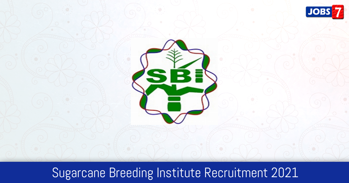 Sugarcane Breeding Institute Recruitment 2024:  Jobs in Sugarcane Breeding Institute | Apply @ sugarcane.icar.gov.in