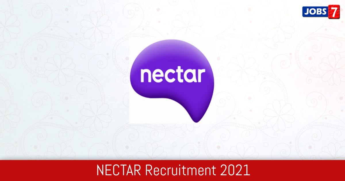 NECTAR Recruitment 2024:  Jobs in NECTAR | Apply @ www.nectar.org.in