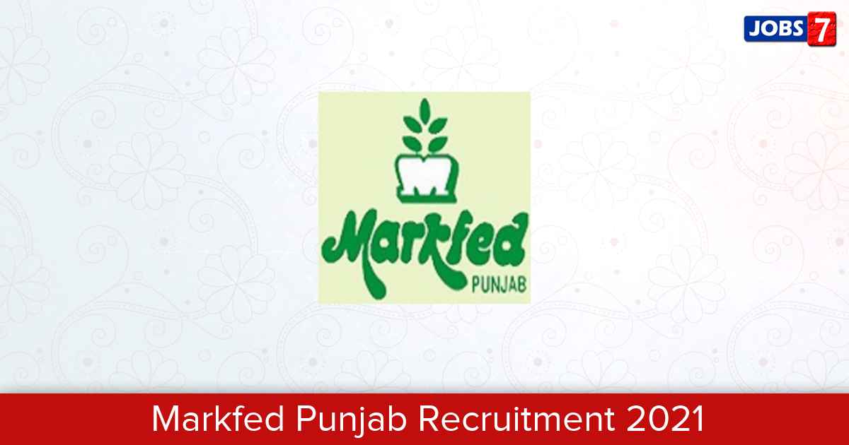 Markfed Punjab Recruitment 2024:  Jobs in Markfed Punjab | Apply @ www.markfedpunjab.com