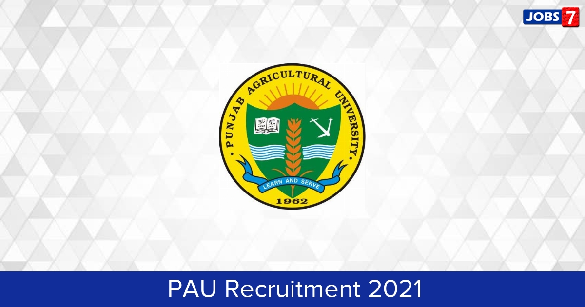 PAU Recruitment 2024:  Jobs in PAU | Apply @ www.pau.edu